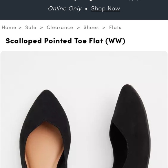 Scalloped Pointed Toe Flat (WW) - Picture 5 of 5